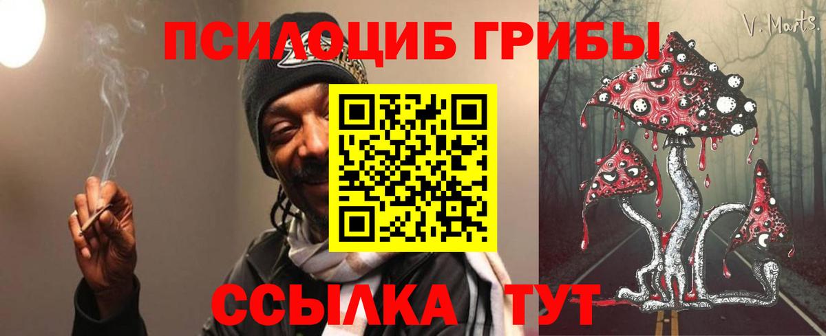 купить  цена  Галлюциногенные грибы Psilocybine cubensis  Вход с VPN  Избербаш 